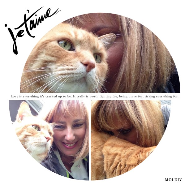 Processed with Moldiv